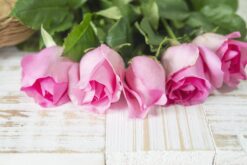 Sevgiliye Çiçek Notları Aşkın Sembolü Pembe Güller