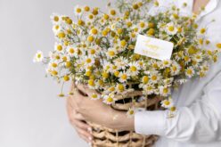 Sevgiliye Papatya Kokulu Bir Hediye Çiçek Notlarıyla Aşkınızı Anlatın
